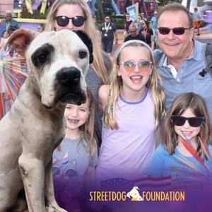 Meet your Posher, Alexandra